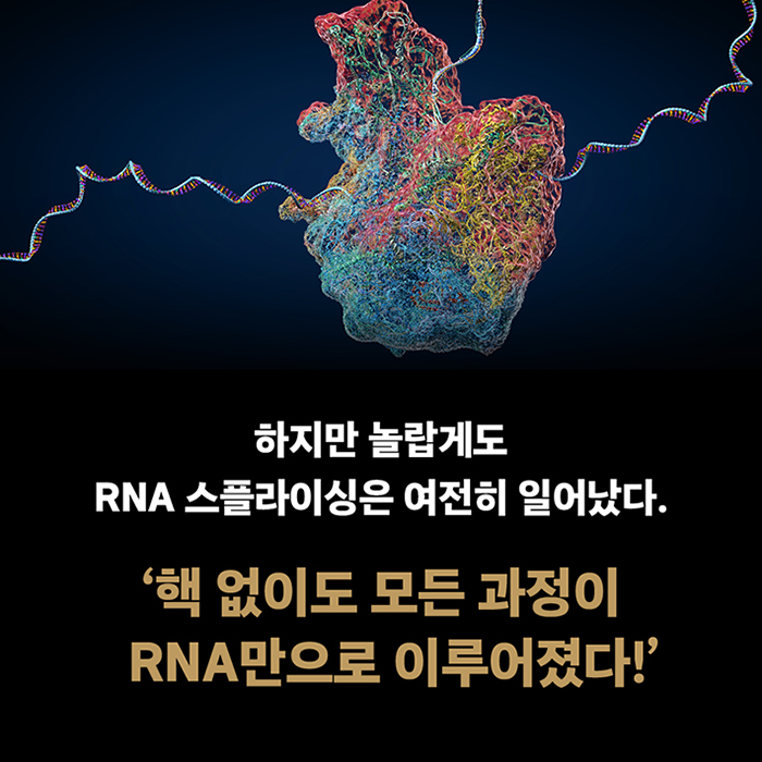 9788984078697_04.jpg